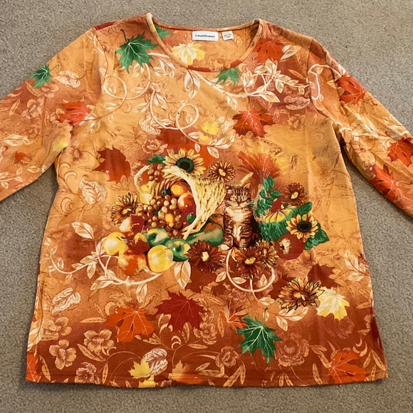 size XL, bust up to 44” inches, new condition, cat 🐈⬛ and cornucopia shirt - Picture 4 of 6